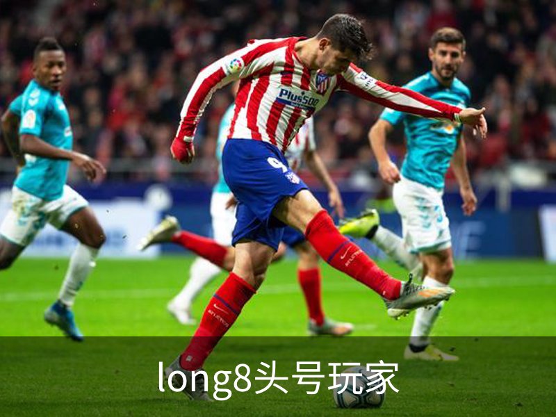 long8头号玩家概况